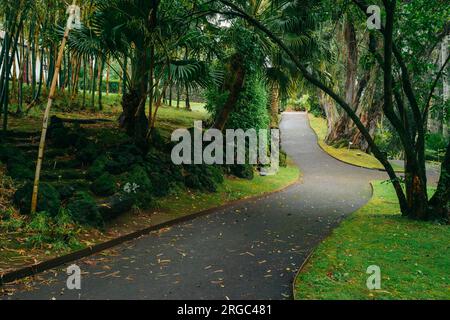 Jardim Botanico Antonio Borges. Ruhiger botanischer Garten auf den Azoren, Portugal, mit vielfältigen Pflanzenarten und ruhiger natürlicher Schönheit Stockfoto