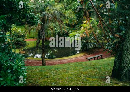 Jardim Botanico Antonio Borges. Ruhiger botanischer Garten auf den Azoren, Portugal, mit vielfältigen Pflanzenarten und ruhiger natürlicher Schönheit Stockfoto