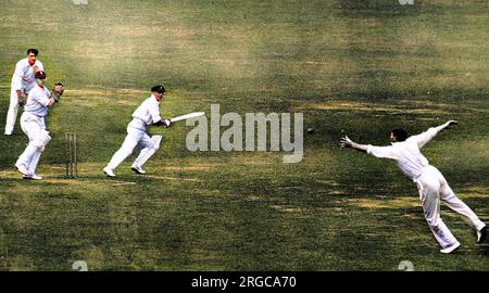 Foto des Don Bradman-Platzes, der während des zweiten Testspiels zwischen England und Australien auf Lord's Cricket Ground, London, 1930 zerlegt wurde. Bradman spielte für Australien, war dann 21 Jahre alt und erzielte in diesem Innings 254 Punkte. Der Feldspieler, der nach links springt, um den Ball aufzuhalten, ist A.P.F. Chapman von England. Stockfoto