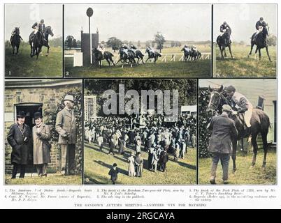 Das Herbsttreffen in Sandown, bei dem das britische Vollblüter-Rennpferd Bayardo siegte. Stockfoto