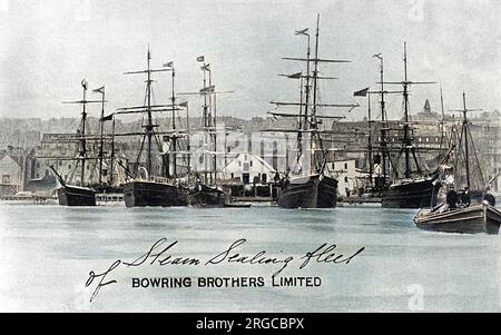 Kaianlagen in St. Johns Harbour, Neufundland, Kanada – Bowling Brothers Steam Sealing Fleet Stockfoto