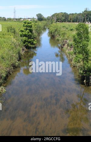 West Fork des North Branch des Chicago River im Somme Prairie Nature Preserve in Northbrook, Illinois Stockfoto