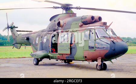 Koninklijke Luchtmacht - Eurocopter AS532U2 Cougar S-442 (msn 2442) auf der Florennes Air Show, 7-8. September 1997. (Koninklijke Luchtmacht - Royal Netherlands Air Force). Stockfoto