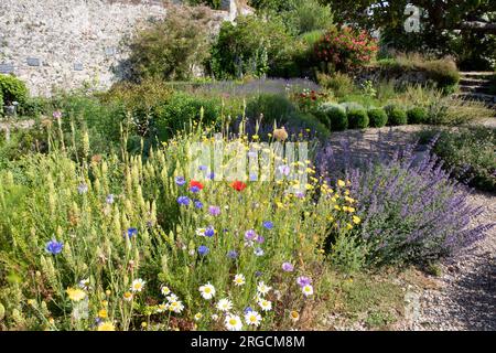 Herbarium des Remparts in Saint Valery sur Somme Stockfoto