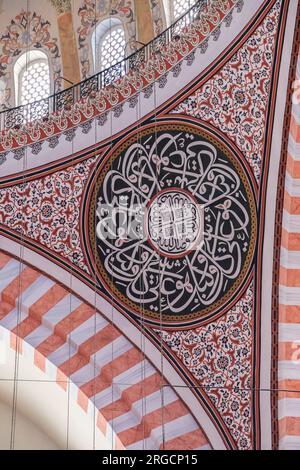 Istanbul, Türkei, Turkiye. Dekorationen in Kalligraphie- und Blumenmotiven an den Wänden der Moschee von Suleyman, der herrlichen Suleymaniye-Moschee. Stockfoto