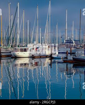 Sausalito Harbor, Marin County, Kalifornien Stockfoto