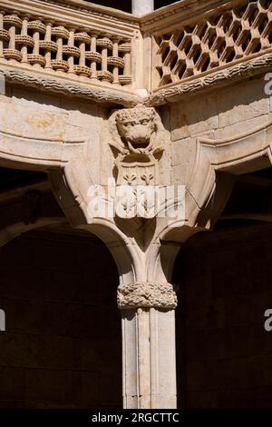 Patio de la Casa de las Conchas en Salamanca Stockfoto