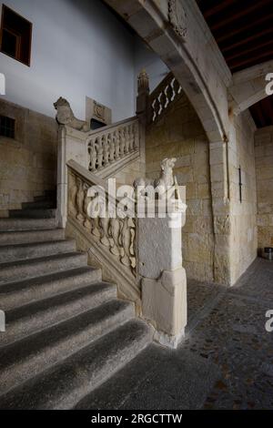 Patio de la Casa de las Conchas en Salamanca Stockfoto