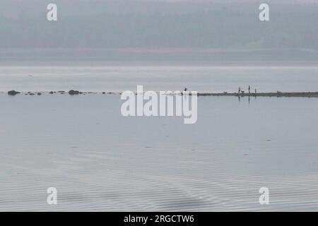 Familie auf einem Bootssteg in Passmaquoddy Bay bei Saint Andrews New Brunswick Kanada Stockfoto