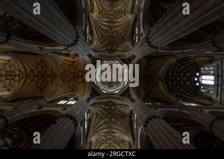 Crucero de la Catedral nueva de Salamanca Stockfoto