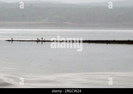 Familie auf einem Bootssteg in Passmaquoddy Bay bei Saint Andrews New Brunswick Kanada Stockfoto