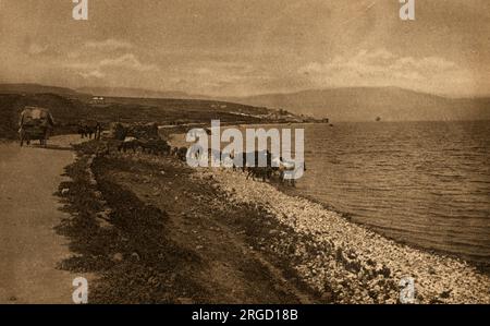 Blick auf Tiberias, eine israelische Stadt am Westufer des Sees von Galiläa. Stockfoto