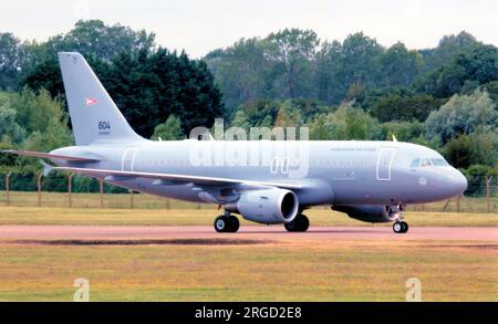 Ungarische Luftwaffe – Airbus A319-112 604 (msn 3604) Stockfoto