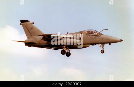 Aeronautica Militare - AMX International AMX MM7161 / 2-21 (msn IX073), vom 2 Stormo. (Aeronautica Militare - Italienische Luftwaffe) Stockfoto