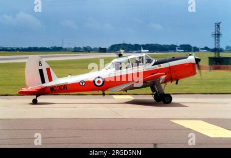 Royal Air Force - de Havilland Canada DHC-1 Chipmunk T.10 WG308 '8'. Stockfoto