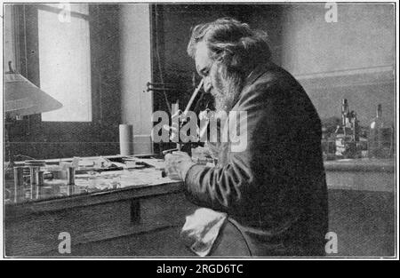 Ilja Iljitsch Mechnikov (1845-1916), russischer Zoologe des rumänischen Adligen, bekannt für seine bahnbrechende Forschung in der Immunologie. Ein Foto, das ihn in der bakteriologischen Forschung zeigt. Stockfoto