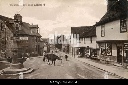 Hockerhill, Bishops Stortford, Hertfordshire - Postkarte der Valentinsserie 1914 Stockfoto