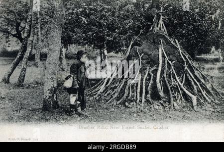 Brusher Mills (1840-1905) - New Forest Snake Catcher, Hampshire. In seinen vierziger Jahren zog er in eine alte Holzkohlebrennerhütte in Waldgebieten in der Nähe von Sporelake Lawn (abgebildet), nahe Brockenhurst Stockfoto