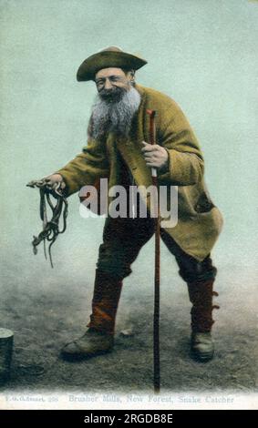 Brusher Mills (1840-1905) - New Forest Snake Catcher, Hampshire. Stockfoto