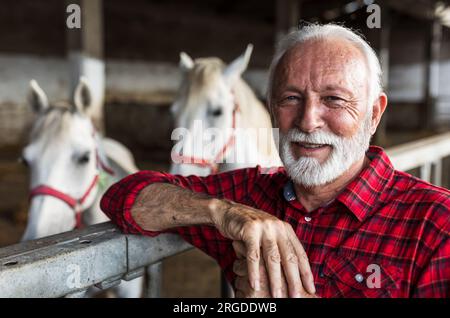 Porträt eines älteren Bauern, der sich auf den Zaun von weißen Pferden lehnt lipizzaner-Stall Stockfoto