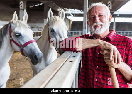 Porträt eines älteren Bauern, der sich auf den Zaun von weißen Pferden lehnt lipizzaner-Stall Stockfoto