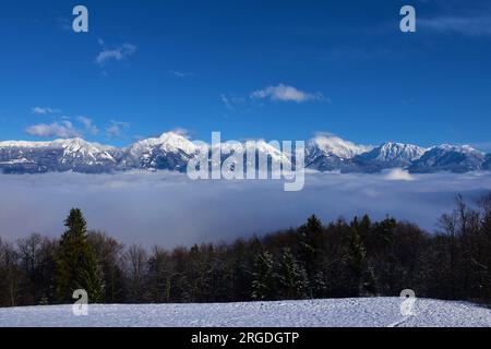 Blick auf die Kamnik-Savinja-alpen mit den Bergen Storzic, Kocna und Grintovec in Gorenjska, Slowenien im Winter und Gebirge Stockfoto