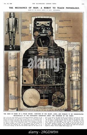 Eine der neuartigen Ausstellungen, die auf der Schuljungen-Ausstellung in der New Horticultural Hall in London im Winter 1928-9 ausgestellt werden; ein Metallroboter, der die Funktionsweise von Herz, Lunge, Magen usw. in mechanischer Form erklärte. Der Organisator der Ausstellung, Herr Schofield, erläuterte den Apparat und sagte: "Wir werden den Körper in Begriffe übersetzen, mit denen die Jungen vertraut sind - die Dampfmaschine." Berühren Sie eine Taste am Roboter, und das „Herz“ beginnt zu schlagen, die „Lunge“ geht nach oben und unten, und alle Hilfsmaschinen funktionieren. Der Roboter war Teil einer Ausstellung von Horlick's Malte Stockfoto