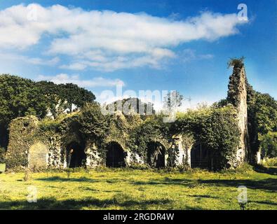 Waverley Abbey, in der Nähe von Farnham, Surrey, England. Gegründet von William Gifford, Bischof von Winchester, war es die erste Zisterzienserabtei in England. Stockfoto