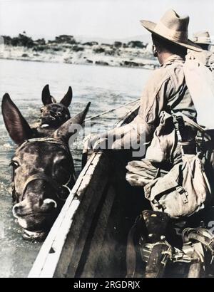 Chinditen und ihre Pferde überqueren den Chindwin River, Burma in leichten Fähren, die Pferde nebenan! Stockfoto