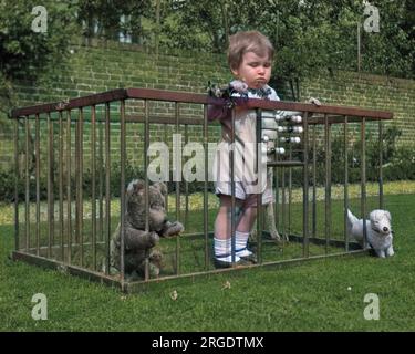Ein Kind, das in einem Laufstall in einem Garten steht, mit seinem Teddybär und seinem Spielzeughund zur Gesellschaft und einigen Zählperlen zum Spielen. Stockfoto