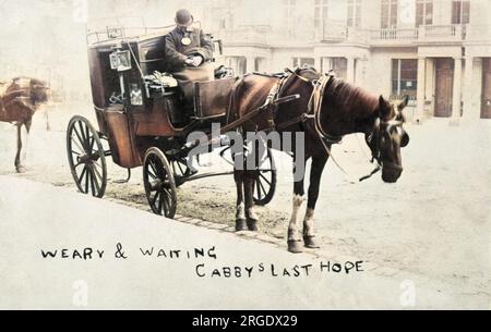 Müde Und Wartend. Cabbys letzte Hoffnung. Stockfoto