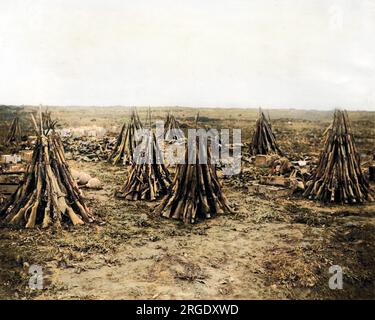 Ein Schlachtfeld nach einem Vormarsch im Ersten Weltkrieg räumen. Die Gewehre sind in Pyramidenform gestapelt. Stockfoto