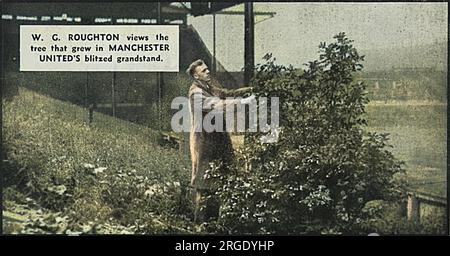 Der beschädigte Hauptstand in Old Trafford, der Heimat des Manchester United Football Clubs. W G Roughton blickt auf den Baum, der in der Haupttribüne gewachsen ist. Stockfoto