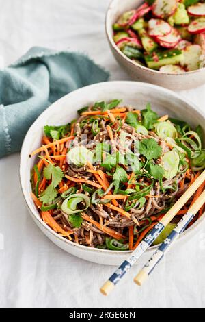 Miso tahini Soba Nudeln mit Gurken, Rettich und Sesamsamen Salat Stockfoto