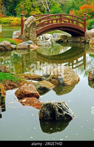 Autumn colors border a peaceful Japanese style garden Stockfoto