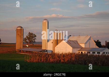 In Lancaer County, Pennsylvania, befindet sich eine weiße Scheune mit Getreidesilos, die von fruchtbarem Ackerland umgeben sind Stockfoto