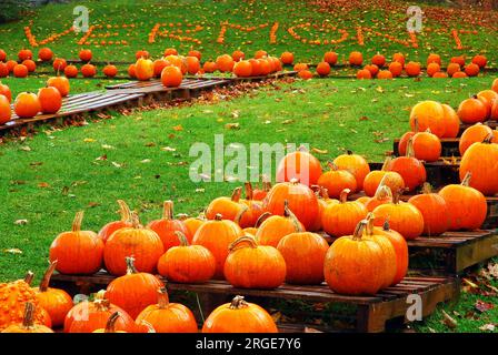 Eine Farm am Straßenrand benutzt ihre Kürbisse im Herbst, nahe Halloween, um Vermont, ihren New England State Namen, zu buchstabieren Stockfoto