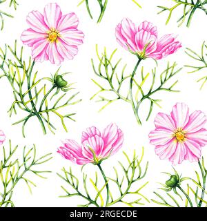 Aquarell Cosmos Blumen handgemalt nahtlos. Rosa Blumen, Blätter, Knospen auf weißem Hintergrund. Botanisches Muster für Stoffe, Textilien, Wände Stockfoto