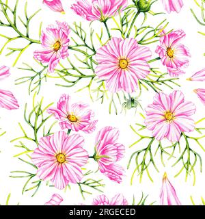 Aquarell Cosmos Blumen handgemalt nahtlos. Rosa Blumen, Blätter, Knospen auf weißem Hintergrund. Botanisches Muster für Stoffe, Textilien, Wände Stockfoto