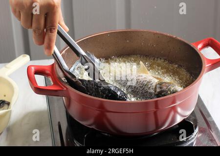 Weibliche Hand mit Edelstahlzangen, Frittieren von Flusskarpfen Fisch in einer roten Bratpfanne. Goreng Ikan Mas Stockfoto