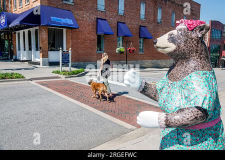 Hendersonville North Carolina, Main Street, Bearfootin' Bear Art Walk Kunstwerke, wandelnder Hund Haustier, weibliche Frau, Erwachsener, Bewohner, Geschäft Geschäft Geschäft Geschäft Geschäft Stockfoto