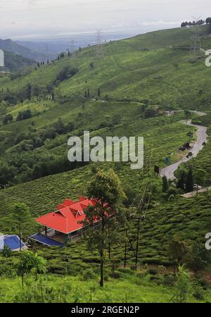 Malerischer Blick auf die üppig grünen Ausläufer des himalaya, die Zickzack-Bergstraße und die Teeplantage vom Kribbeln erregenden Aussichtspunkt in der Nähe von darjeeling in westbengalen, indien Stockfoto