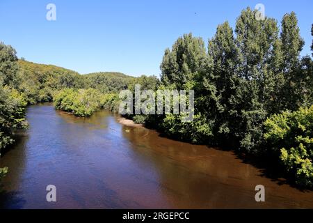 La Vézère rivière des hommes et des femmes de Cro-Magnon coule aux Eyzies de Tayac capitale mondiale de la préhistoire, Dordogne, Périgord, Frankreich, EU Stockfoto