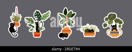 Ich setze die schwarze Katze mit Zimmerpflanzen in einen Topf. Lustige Tiervektorszene. Eine fröhliche Katze versteckt sich hinter einem Blumentopf, Hooligans, springt auf Pflanzen. Stock Vektor