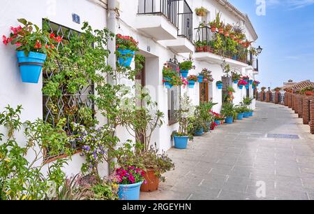 Blumendekoration im Weißen Dorf Mijas, Costa del Sol, Provinz Malaga, Andalusien, Spanien Stockfoto