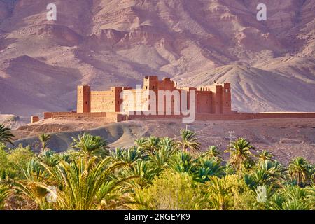 Tamnougalt Kasbah in der Nähe von Agdz, Draa Valley, Marokko, Afrika Stockfoto