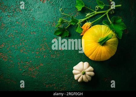 Pattypan-Kürbis und gelbe Zucchini — Sommerkürbis (Cucurbita pepo) Stockfoto