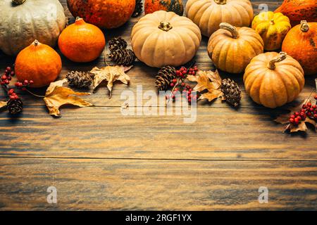 Thanksgiving und Herbstdekoration mit verschiedenen Kürbissen und getrockneten Blättern auf Holzhintergrund Stockfoto