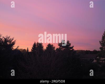 Blick auf die Silhoutte der Bäume bei Sonnenuntergang Stockfoto