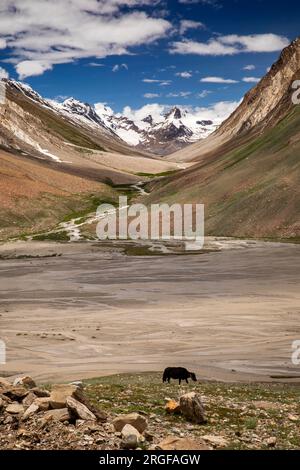 Indien, Ladakh, Zanskar, Pensi La, Schmelzwasserstrom von schneebedeckten Gipfeln auf dem 14.436' Penzila Pass Stockfoto